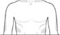 chest