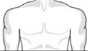 chest