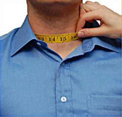 neck