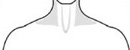 shoulder