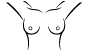 chest